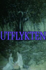 Utflykten 1983 one on netflix