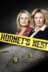 Hornet’s Nest 2012 one on netflix