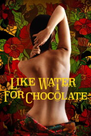 Like Water for Chocolate 1992 one on netflix