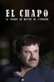 The Rise and Fall of El Chapo 2016 one on netflix