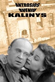The Prisoner of Second Avenue 1980 one on netflix