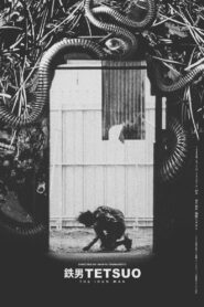 Tetsuo: The Iron Man 1989 one on netflix