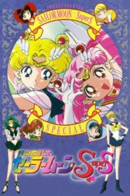 Sailor Moon SuperS: Special 1995 one on netflix