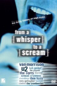 From a Whisper to a Scream: The Living History of Irish Music 2000 one on netflix