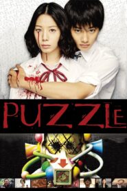 Puzzle 2014 one on netflix