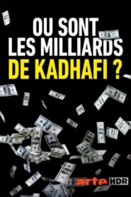 The Hunt for Gaddafi’s Billions 2020 one on netflix