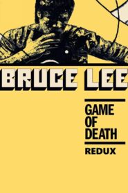 Game of Death Redux 2019 one on netflix