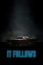 It Follows 2015 one on netflix