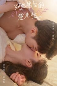Hi! My Mr. Right 2023 one on netflix