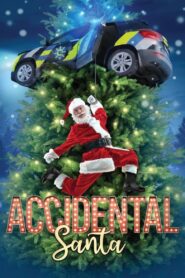 Accidental Santa 2022 one on netflix
