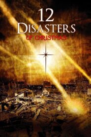The 12 Disasters of Christmas 2012 one on netflix