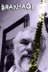 Brakhage 1998 one on netflix