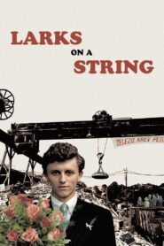 Larks on a String 1990 one on netflix