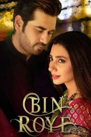 Bin Roye 2015 one on netflix