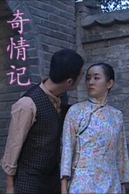 奇情记 2009 one on netflix