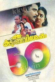 Kudumba Visesham 1994 one on netflix