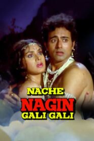 Nache Nagin Gali Gali 1989 one on netflix