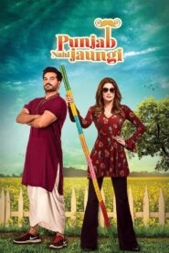 Punjab Nahi Jaungi 2017 one on netflix