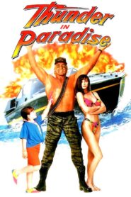 Thunder in Paradise 1993 one on netflix