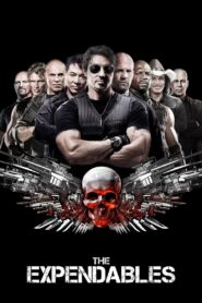 The Expendables 2010 one on netflix