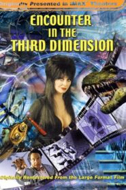 Encounter in the Third Dimension 1999 one on netflix
