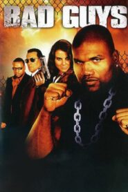 Bad Guys 2008 one on netflix