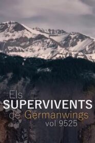 Els supervivents del vol 9525 de Germanwings 2020 one on netflix