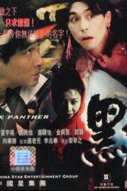 Black Panther 1993 one on netflix