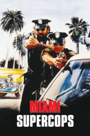Miami Supercops 1985 one on netflix