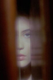 Phantasmagoria of the Interior 2015 one on netflix