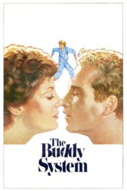 The Buddy System 1984 one on netflix