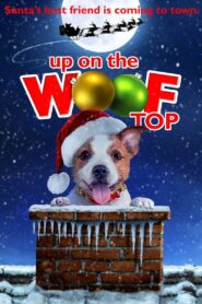 Up on the Wooftop 2015 one on netflix