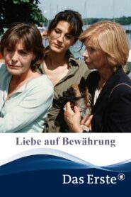 Liebe auf Bewährung 2004 one on netflix