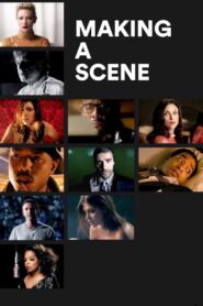Making a Scene 2013 one on netflix