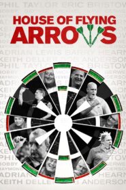 House of Flying Arrows 2016 one on netflix