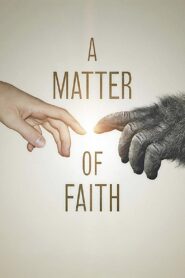 A Matter of Faith 2014 one on netflix