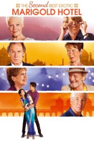 The Second Best Exotic Marigold Hotel 2015 one on netflix