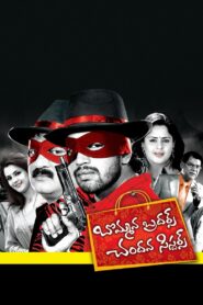 Bommana Brothers Chandana Sisters 2008 one on netflix