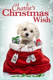 Charlie’s Christmas Wish 2020 one on netflix