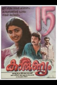 Karunyam 1997 one on netflix
