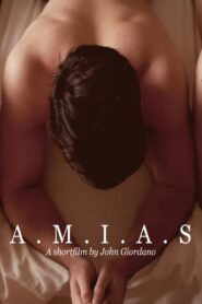 Amias 2013 one on netflix