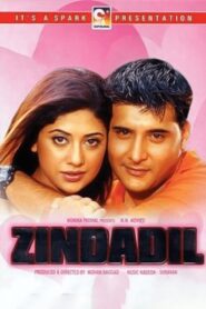 Zinda Dil 2003 one on netflix