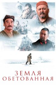The Promised Land 2011 one on netflix
