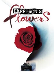 Harrison’s Flowers 2000 one on netflix