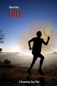 Fuel 2009 one on netflix