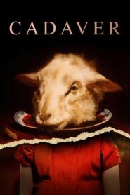 Cadaver 2020 one on netflix