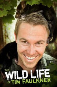 The Wild Life of Tim Faulkner 2013 one on netflix