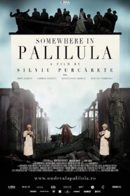 Somewhere in Palilula 2012 one on netflix