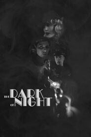 The Dark of Night 2017 one on netflix