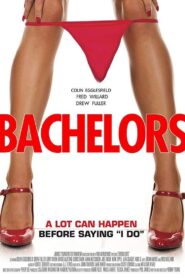 Bachelors 2015 one on netflix